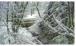 Winter scenes at Rock Park in Llandrindod Wells, mid Wales.
